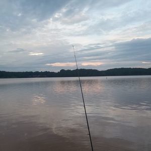 Meet your Posher, Landon